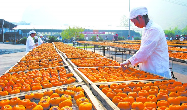 2017年農(nóng)產(chǎn)品加工財(cái)稅扶持政策大操盤(pán)，您享受到了嗎？